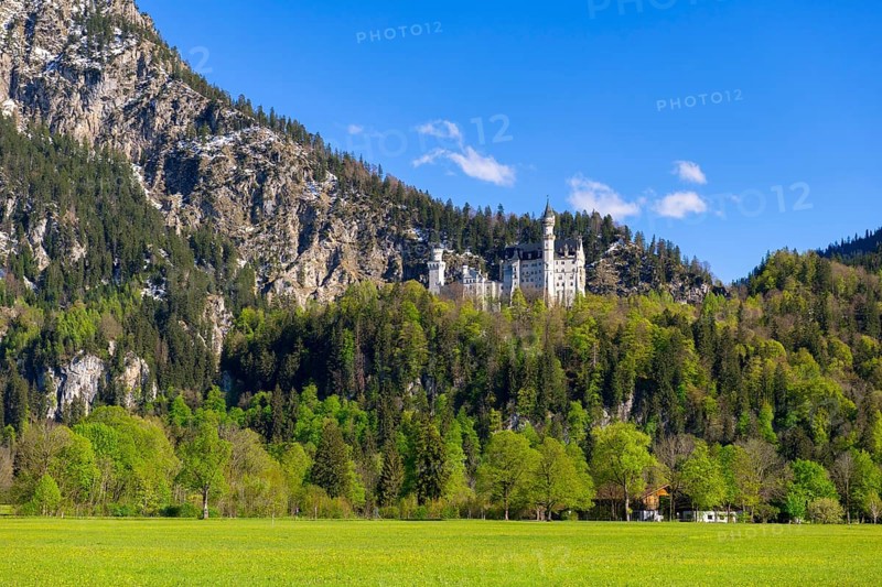 Neuschwanstein Castle in spring, Schwangau, Ostallgaeu, Allgaeu, Swabia, Upper Bavaria, Bavaria, Germany, Europe