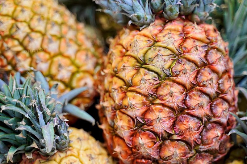 Market hall, Mercado de Nuestra Senora de Africa, Santa Cruz de Tenerife, Tenerife, Canary Islands, Spain, Europe, Close-up of pineapple fruits, showing the complex pattern of their surface structure, Europe