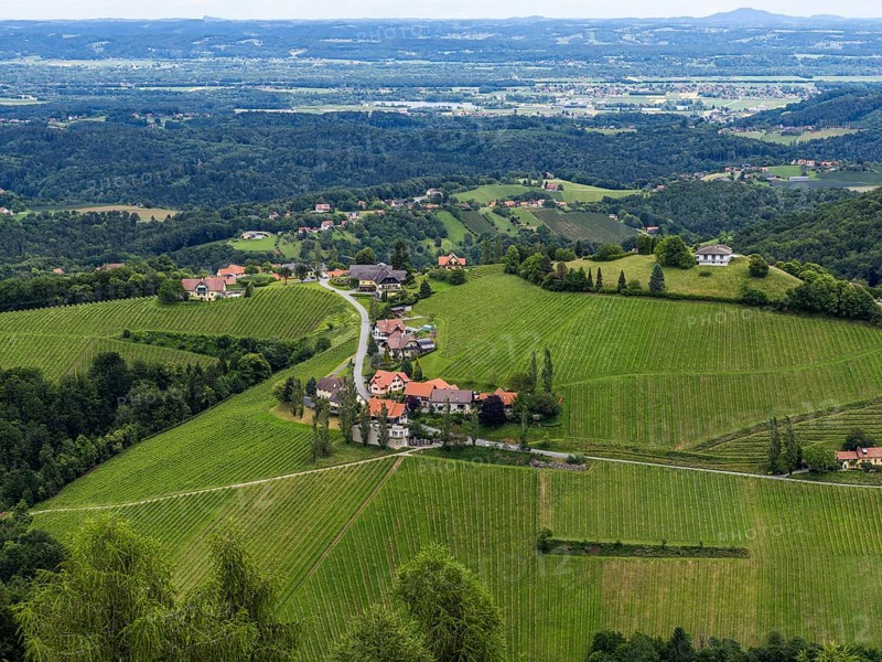 Hilly landscape, vineyards, view from the Demmerkogel lookout point, St. Andrae-Hoech, Sausal wine country, Styria, Austria, Europe