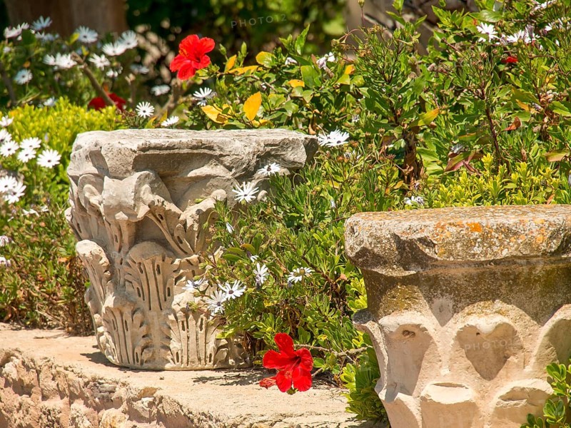 A Mediterranean garden with stone flower boxes, red and white flowers and a stone wall, Tunis in Africa with ruins from Roman times, modern mosques and blue and white houses in sidi-bou-said, Tunis, Tunisia, Africa