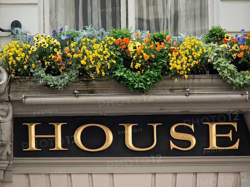A richly decorated windowsill with colourful flowers above a sign with the inscription 'House', London, England, Great Britain