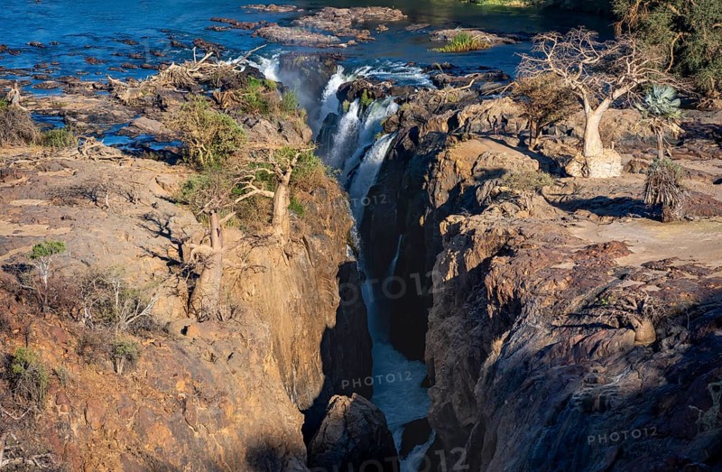Kunene River, waterfall and African Baobab (Adansonia digitata), in the evening light, Epupa Falls, Kunene, Namibia, Africa