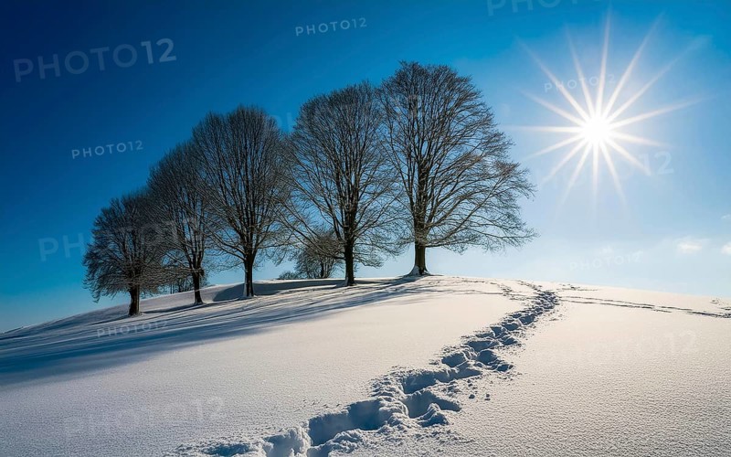 Footprints in fresh snow on a hill with a row of trees in winter, backlight, AI generated, AI generated