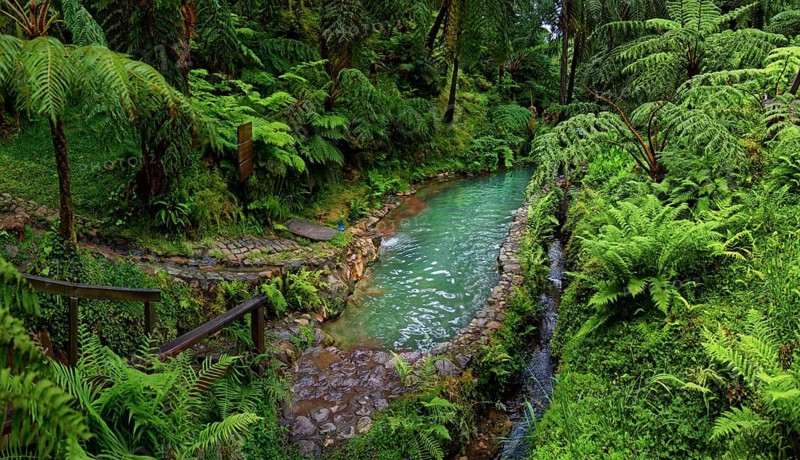 Hiking trail with hot natural thermal spring in Caldeira Velha in a lush green environment with ferns, Caldeira Velha, Gramas, Caldeiras, Sao Miguel, Azores, Portugal, Europe