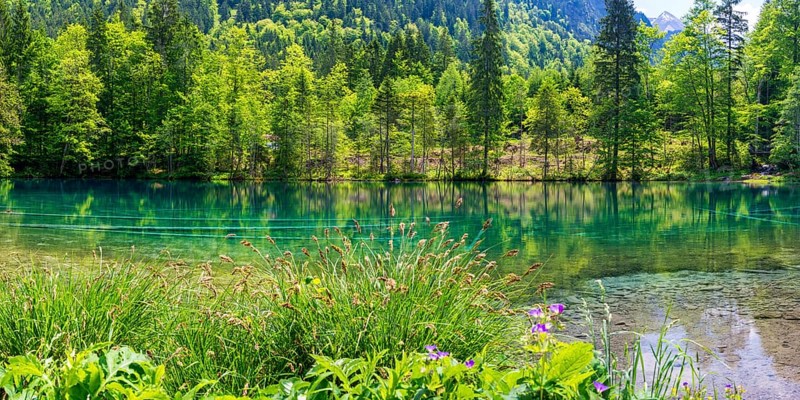 Christlessee, a mountain lake in the Trettachtal valley, near Oberstdorf, Oberallgaeu, Allgaeu, Bavaria, Germany, Europe
