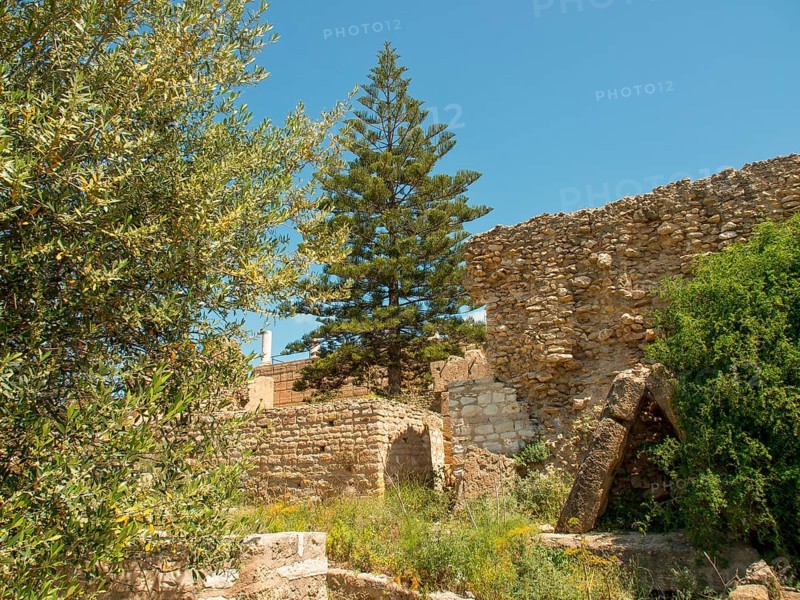 Ruins and stone walls of an ancient structure surrounded by vegetation under a summer sky, Tunis in Africa with ruins from Roman times, modern mosques and blue and white houses in sidi-bou-said, Tunis, Tunisia, Africa