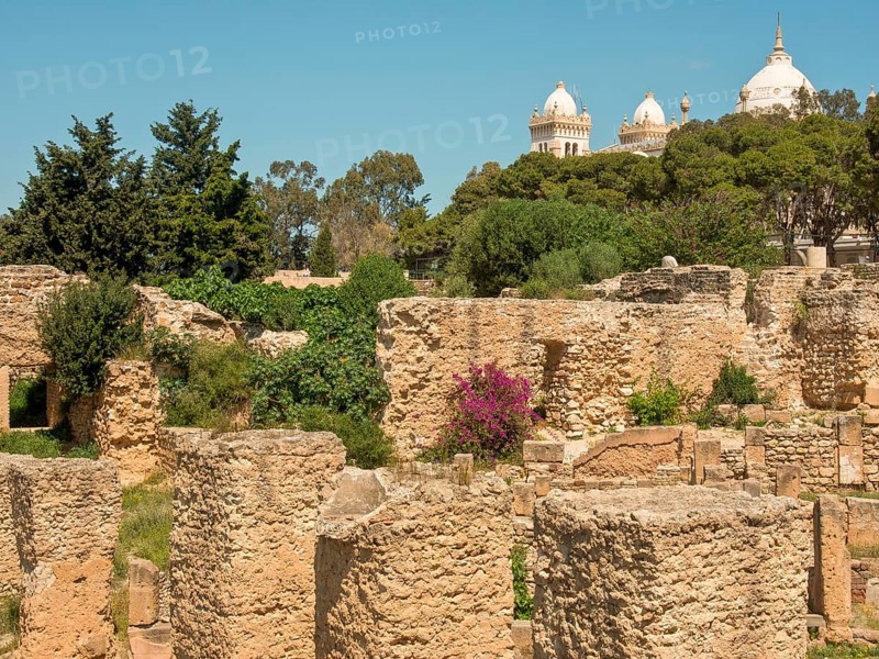 Historic ruins with white domed architecture in the background under a sunny sky, Tunis in Africa with ruins from the Roman era, modern mosques and blue and white houses in sidi-bou-said, Tunis, Tunisia, Africa