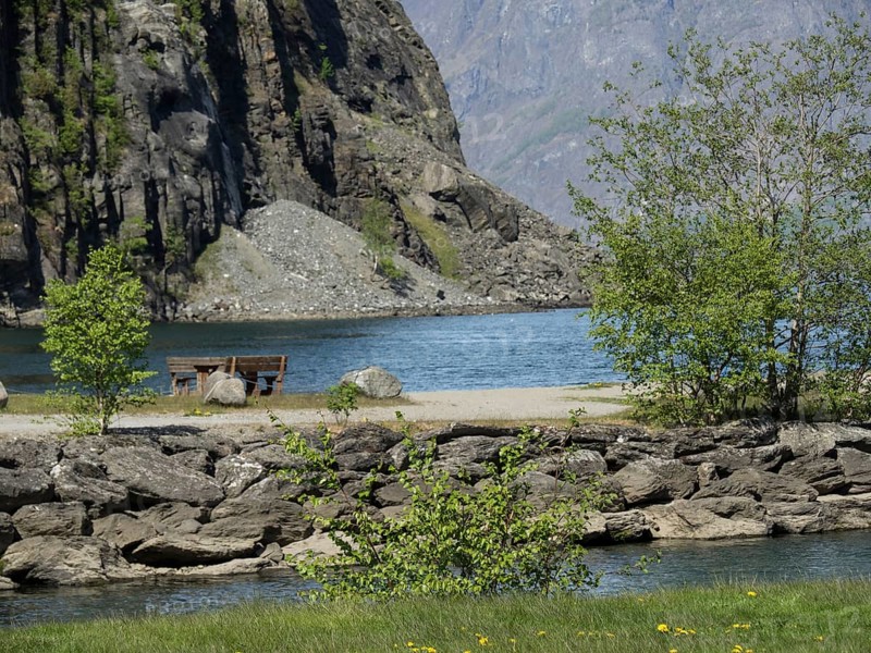 Cosy lake with mountains in the background, trees and a bench on the shore, spring in the fjord with green trees and horses in the pasture, Flam, Norway, Europe