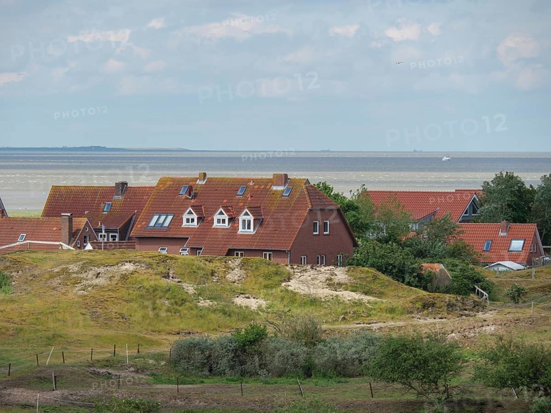 Houses in the dunes with green vegetation and the sea in the background under a partly cloudy sky, Baltrum Germany