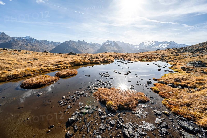 Small lake on the high plateau of the Gurgler Seenplatte, glaciated mountain peaks in the background, in autumn, Sonnenstern, near Obergurgl, Oetztal Alps, Tyrol, Austria, Europe