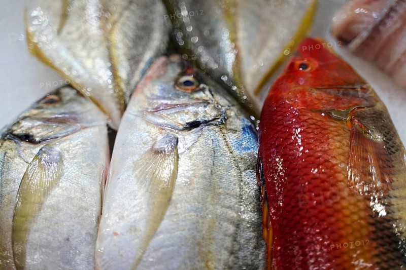 Market Hall, Mercado de Nuestra Senora de Africa, Santa Cruz de Tenerife, Tenerife, Canary Islands, Spain, Europe, Silvery and red fish presented on ice, Europe