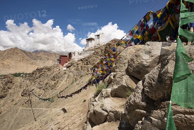 Namgyal Tsemo Gompa Monastery, Tsenmo Hills, Leh, Ladakh, Jammu and Kashmir, India, Asia