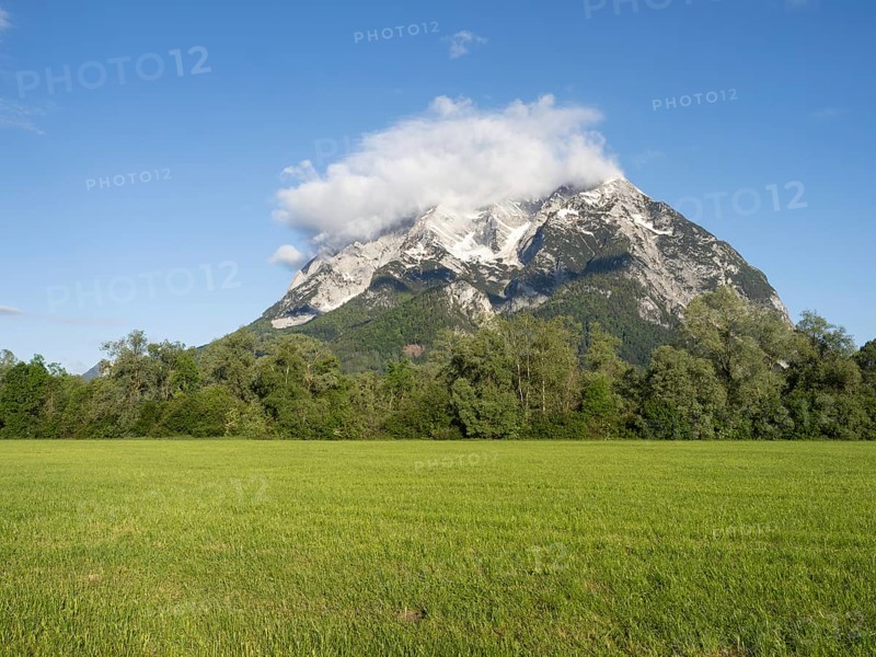 Meadow and trees, with the Grimming massif in the background in the morning light, near Irdning, Styria, Austria, Europe