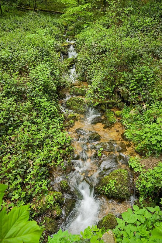 Mountain stream in the forest at Berg Blauen, Badenweiler, Black Forest, Baden-Wuerttemberg, Germany, Europe