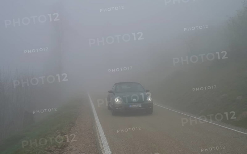 Fog, low visibility, road, forest on Blauen mountain, Badenweiler, Black Forest, Baden-Wuerttemberg, Germany, Europe