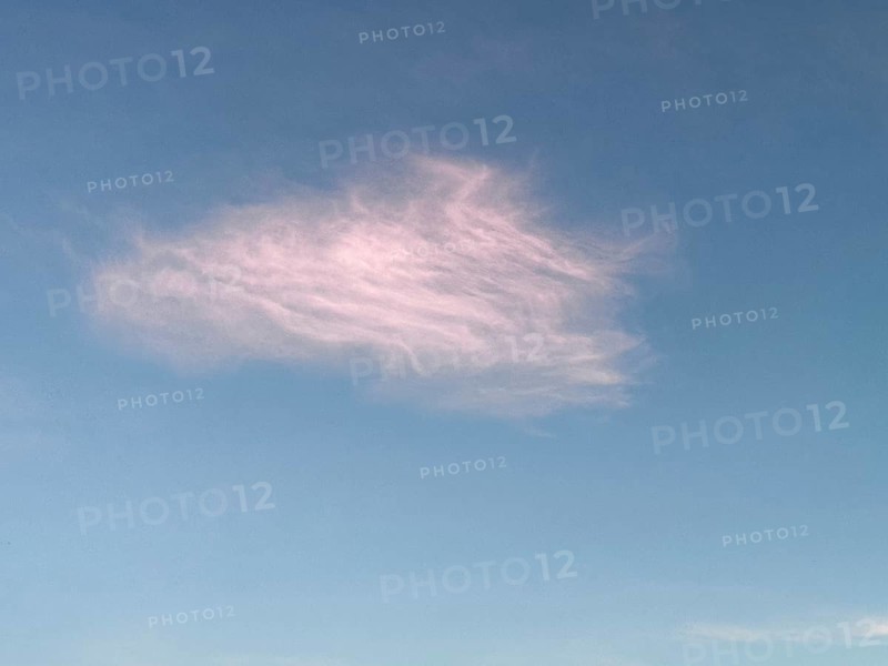 Pink cloud illuminated by the sun in the late afternoon in front of evening Feather cloud Veil cloud Cirrus in front of blue sky, Crete, Greece, Europe