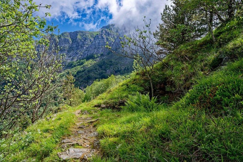 Hiking trail at Passo Croce in the Garfagnana mountain landscape to the peaks of the Apuan Alps, Levigliane, Castelnuovo, Tuscany, Italy, Southern Europe, Europe