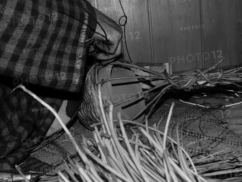 Close-up of hands weaving a basket with wicker materials, highlighting a traditional crafting technique, Jammu and Kashmir, India, Asia