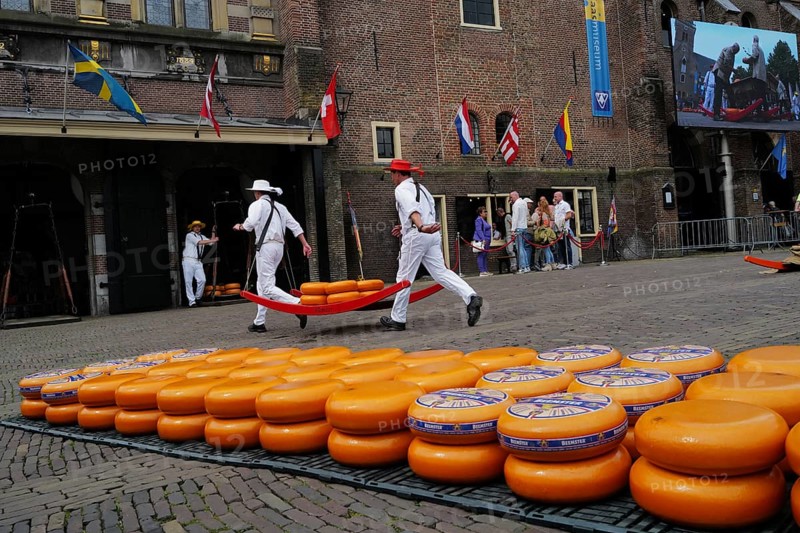 Cheese bearers carry a heavy load of cheese quickly to the main building at the Friday market., Alkmaar, Netherlands