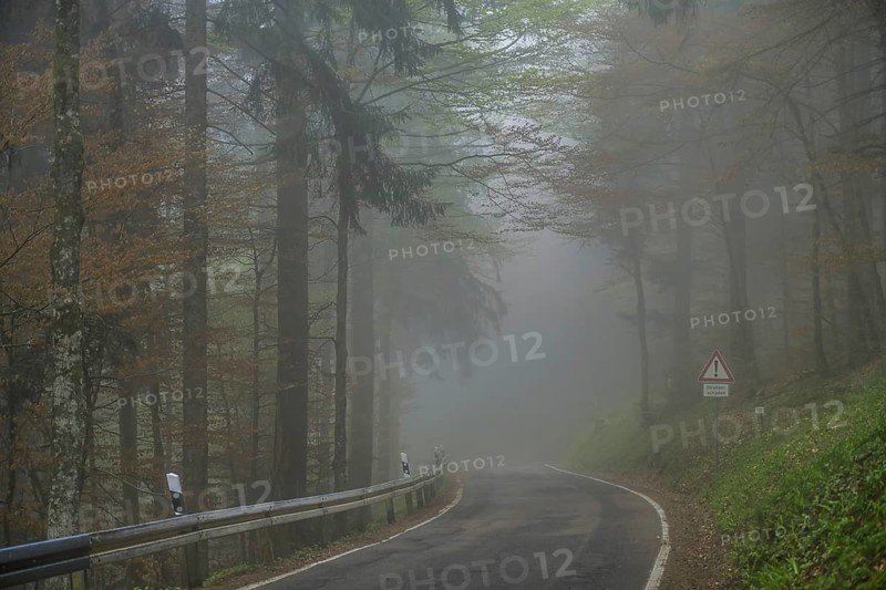 Fog, low visibility, road, forest on Blauen mountain, Badenweiler, Black Forest, Baden-Wuerttemberg, Germany, Europe