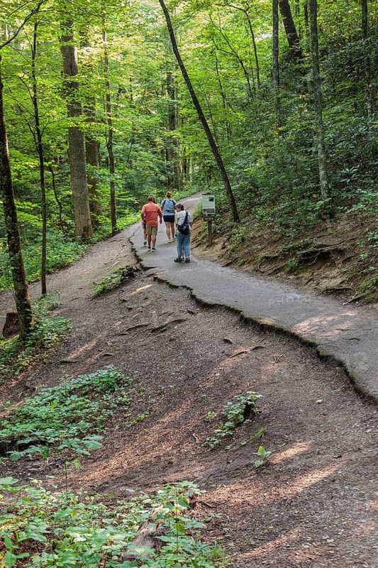 Family walking on paved portion of Laurel Falls Trail in Great Smoky Mountains National Park, Tennessee, United States of America, USA, North America