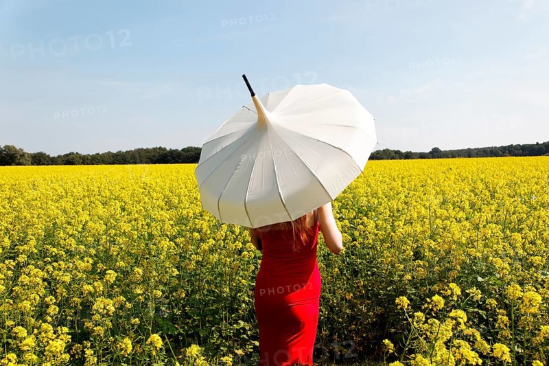 Woman standing in a rape field with a white parasol