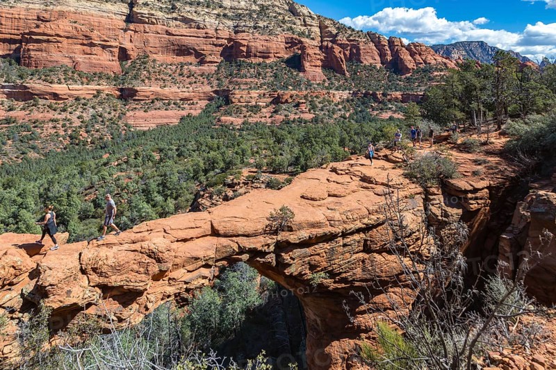 Hikers cross the Devil's Bridge natural arch along the Devil's Bridge Trail in Sedona, Arizona, USA, North America