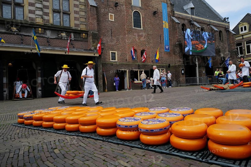 Cheese bearers carry a heavy load of cheese at the Friday market., Alkmaar, Netherlands