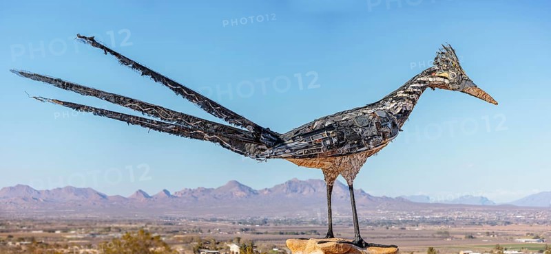 Panorama of Giant Recycled Roadrunner statue made entirely from discarded materials by artist Olin Calk at an I-10 rest area on the west side of Las Cruces, NM, United States of America, USA, North America