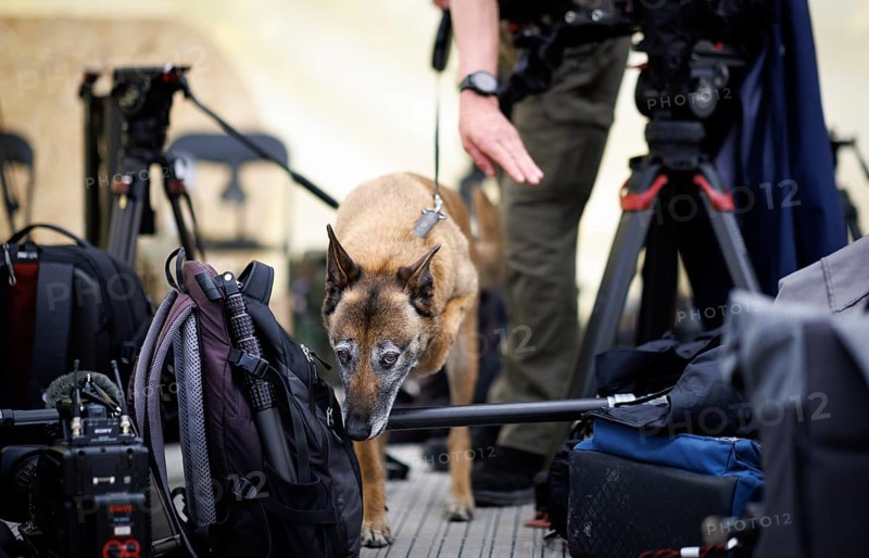 A Lithuanian service dog searches for explosives in the equipment of international journalists and visitors in preparation for a ministerial visit. Photographed during the NATO large-scale manoeuvre Steadfast Defender and the German part Quadriga 2024 in Pabrade, 29.05.2024