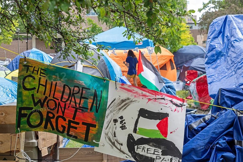 Detroit, Michigan USA, 28 May 2024, A tent encampment set up by students at the Wayne State University in solidarity with the victims of Israeli bombing in Gaza. The university responded by canceling classes 'until further notice.'
