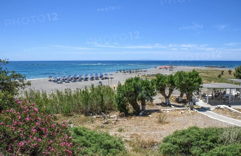 Beach of Frangokastello with sunshades sunbeds on the right at the edge of the picture Tavern Cafe Restaurant, in the foreground left flowering shrub Oleander (Nerium oleander), Frangokastello, Crete, Greece, Europe