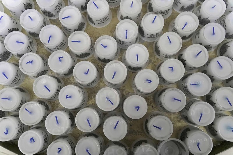 Interior view of Berlin Cathedral, Berlin, Germany, Europe, view of a large number of white candles with blue wicks ready to be lit, Europe