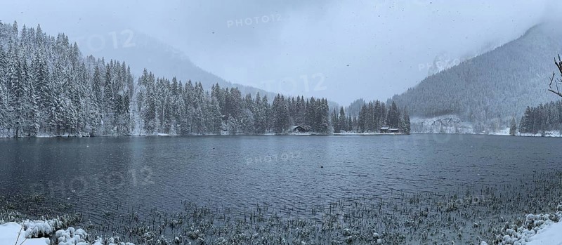 Snowfall at Spitzingsee, Bavaria, Germany, Europe