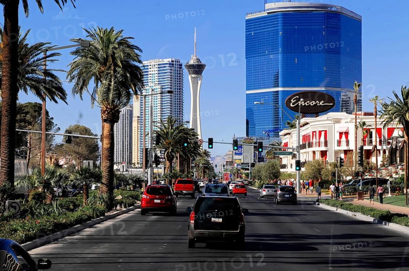 Las Vegas, Nevada, USA, North America, Street traffic with palm trees and skyscrapers in the background under a clear blue sky, Las Vegas Strip, North America