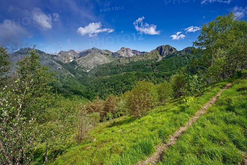 Hiking trail in front of the mountain panorama at Passo Croce in the Garfagnana mountain landscape to the peaks of the Apuan Alps, Levigliane, Castelnuovo, Tuscany, Italy, Southern Europe, Europe