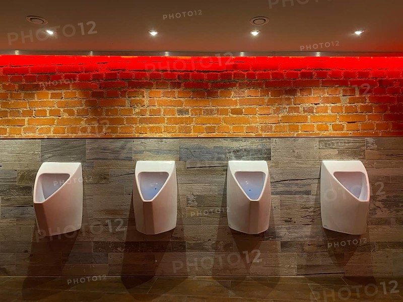 Urinal, Toilet, Leipzig, Saxony, Germany, Europe