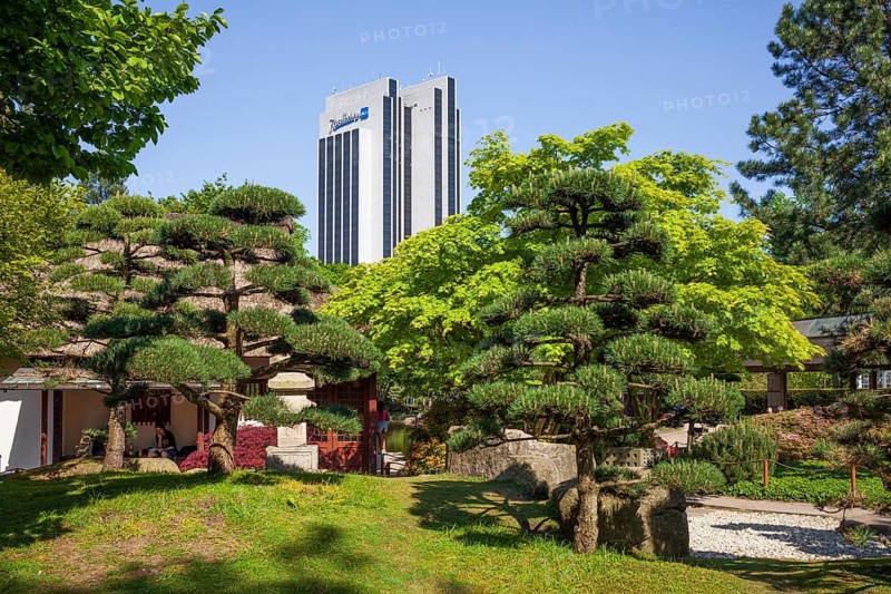 Japanese garden in the Planten un Blomen park with Radisson Blu Hotel and teahouse in spring, Hamburg, Germany, Europe