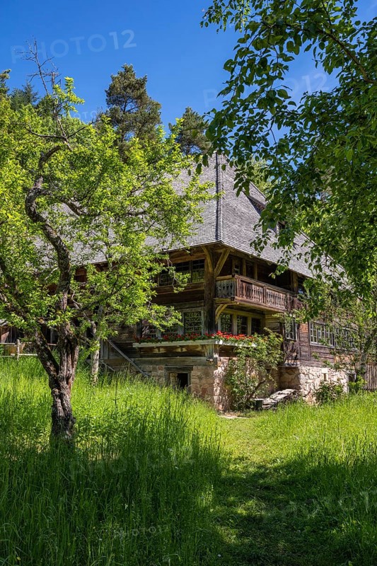 Traditionally built, old Black Forest house, Haldenhof, built around 1669, original location: Schonach in the Black Forest, open-air museum Neuhausen ob Eck, district of Tuttlingen, Baden-Wuerttemberg, Germany, Europe