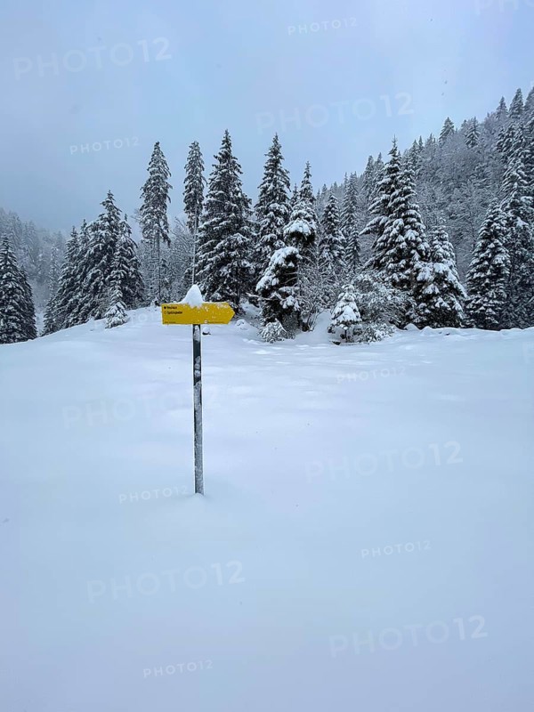 Snowfall at Spitzingsattel, hiking signpost, Bavaria, Germany, Europe