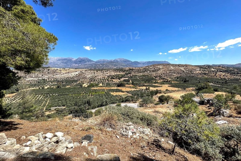 View from hill palace hill of Phaistos to fertile Messara plain plain of Messara with many olive plantations, Festos, Crete, Greece, Europe