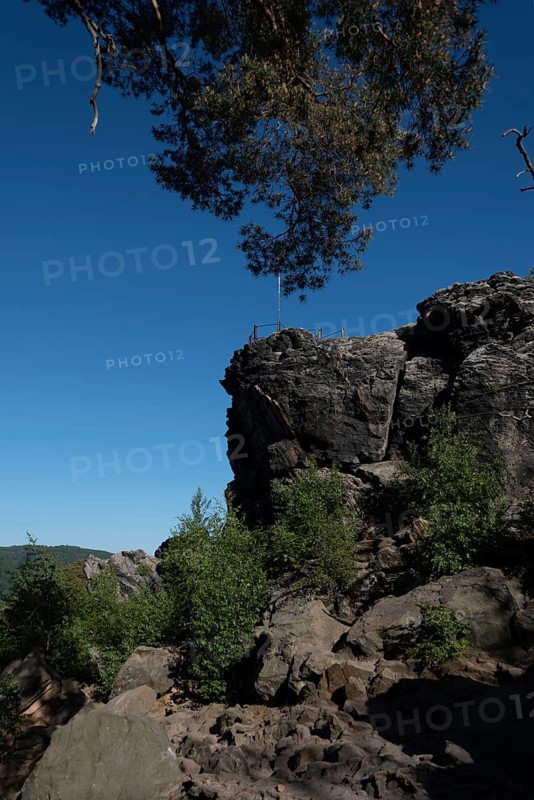 Grandfather Rock, part of the Devil's Wall, Blankenburg, Saxony-Anhalt, Germany, Europe