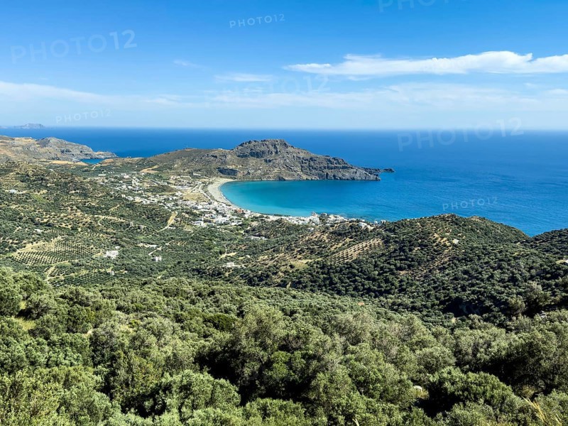 View from elevated position on landscape at south coast of island Crete over in the foreground many green olive trees (Olea europaea) behind bay and beach of Plakias at Libyan Sea Mediterranean, Plakias, Crete, Greece, Europe