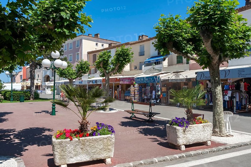 Marketplace with souvenir and bric-a-brac shops, Port Grimaud, Var, Provence-Alpes-Cote d Azur, France, Europe