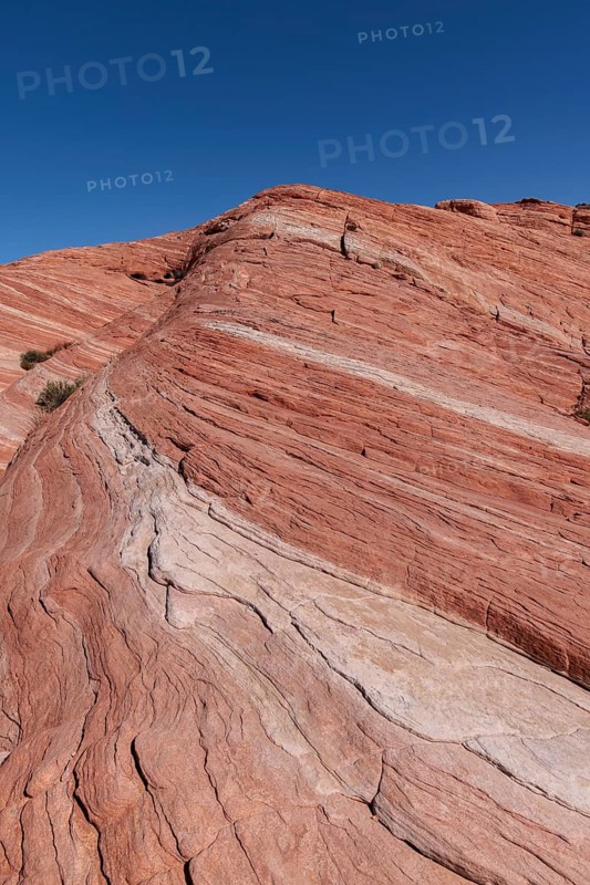 Layered rock formations along the Fire Wave Trail at Valley of Fire State Park near Overton, Nevada, United States of America, USA, North America