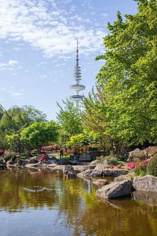 Japanese garden in the Planten un Blomen park with Hamburg television tower and park pond in spring, Hamburg, Germany, Europe
