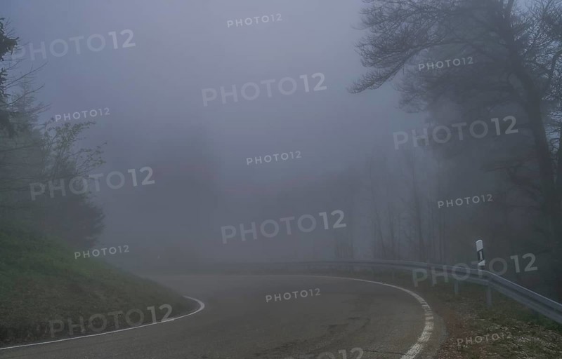 Fog, low visibility, road, forest on Blauen mountain, Badenweiler, Black Forest, Baden-Wuerttemberg, Germany, Europe