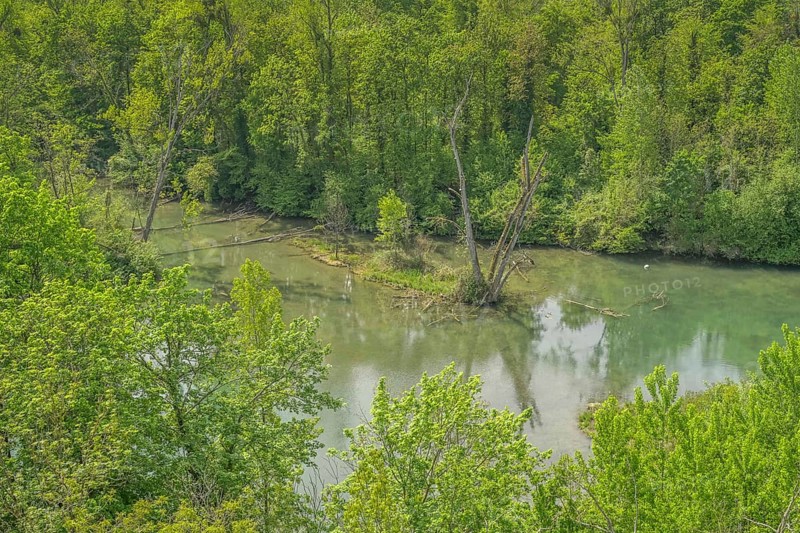 Rhine floodplain, oxbow lake, tributary of the Rhine in the Rappennestgiessen nature reserve, Burkheim am Kaiserstuhl, Baden-Wuerttemberg, Germany, Europe