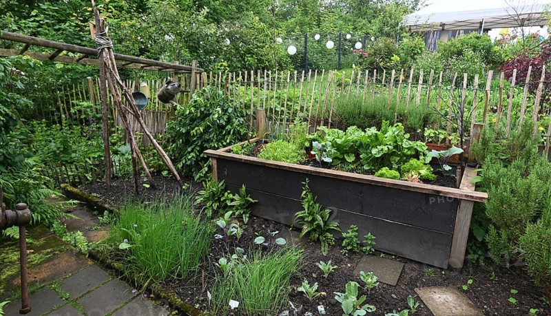 DEU. Germany, Iserlohn: This hobby gardener in Iserlohn maintains an extraordinary garden with numerous non-native plants