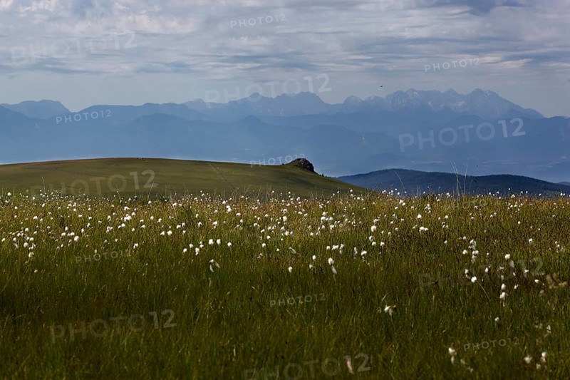 Saualpe, view to the Karawanken, Carinthia, Austria, Europe